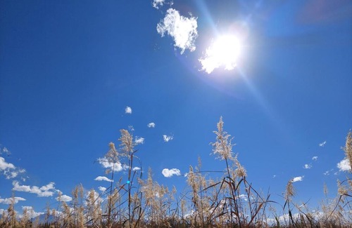 Bella Vista House | Marian
