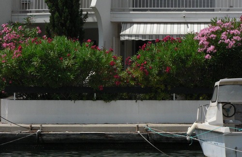 Le Grau-Du-Roi Apartment | MARINA IN PORT CAMARGUE FEET IN THE WATER WITH GARDEN, 200M FROM THE BEACH