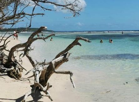 Sainte-Rose Ski Chalet | Mariposa