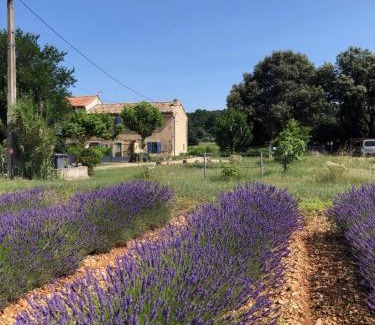 Bollene Bed & Breakfast | mas de costebelle
