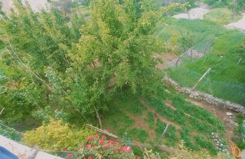 Azad Kashmir House | Masherbrum House Local Homestay in Khaplu