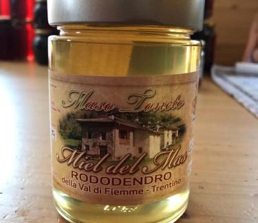 Castello-Molina di Fiemme House | Maso Toneto