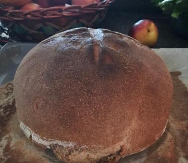 Castello-Molina di Fiemme House | Maso Toneto