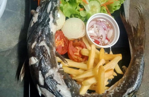 Ko Kood House | Mateoasis homestay