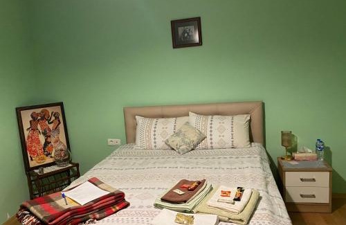 Kars Apartment | Mavi Ladin Konukevi