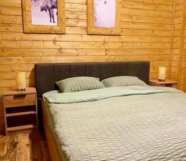 North Macedonia Apartment | Mavrovo apt4