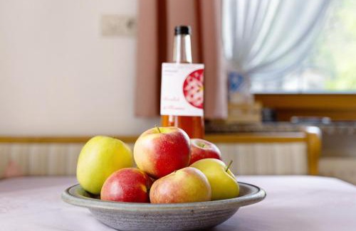 Plaus Apartment | Mayr Apartments Drei