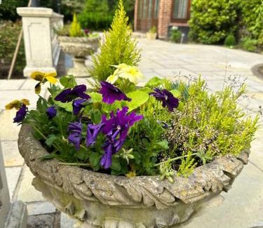 Runnymede Apartment | Maywoods Apartment