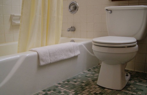 Ithaca Hotel | Meadow Court Inn