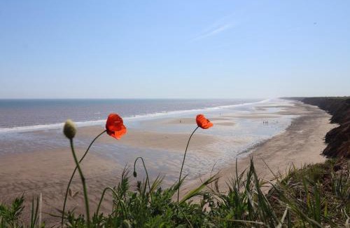 Great Hatfield House | Meadows Park 5