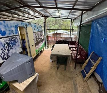 Southwestern Region Other | medusa gradiste