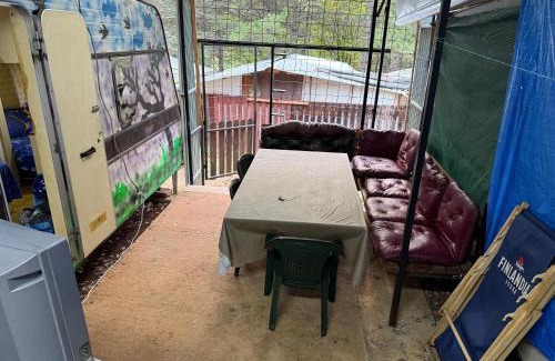 Southwestern Region Other | medusa gradiste