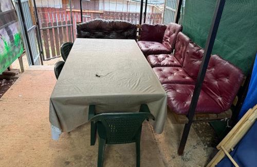 Southwestern Region Other | medusa gradiste