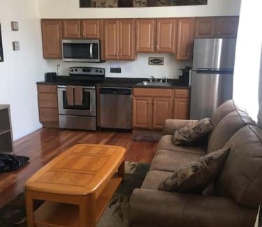 Niskayuna Apartment | Meet the browns with parking