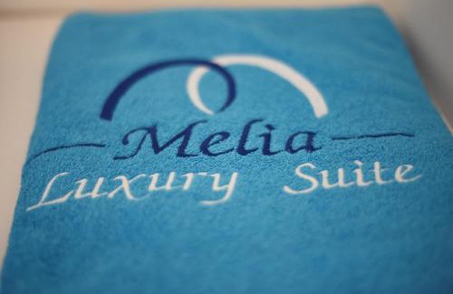 Nea Iraklitsa House | Melia Luxury Suite with pool