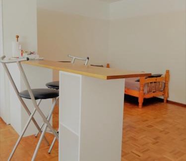 Historic Center Apartment | Mendoza Capital Microcentro