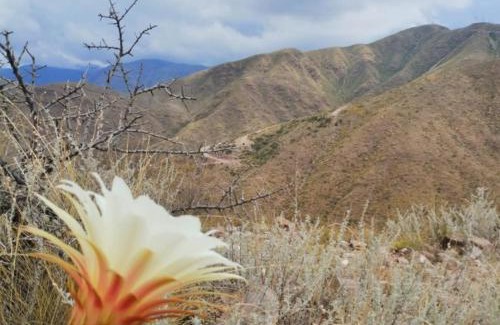 Mendoza Cabin | Mendoza San Isidro Cabaña