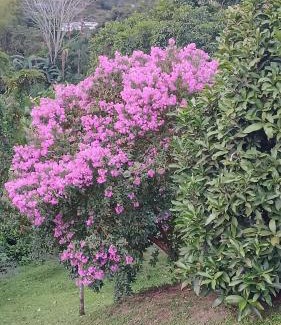 La Vega Other | MeNTA GLAMPING