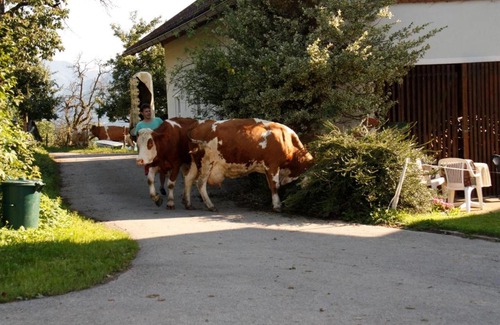 Spittal an der Drau House | Mentebauer Traudi's Ferienhof