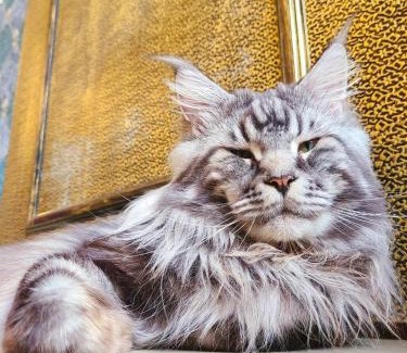 Taitung House | Meow28