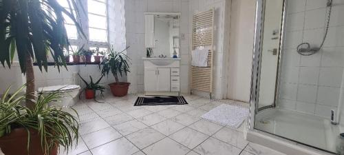 Dysart House | Merchant House