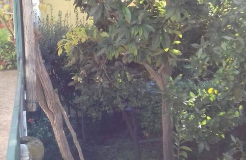 Meta Apartment | Meta di Sorrento - Pollio Terrace