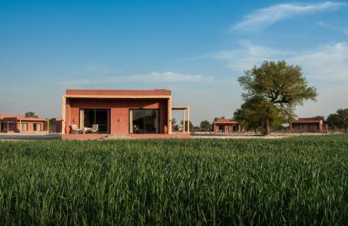 Barli Hotel | Mharo Khet Jodhpur
