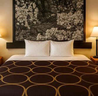 Dover Hotel | MHO Hotel Dover