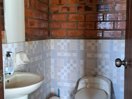 La Banda de Shilcayo House | MI JARDÍN GUARDIÁN