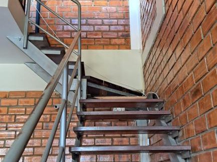 La Banda de Shilcayo House | MI JARDÍN GUARDIÁN