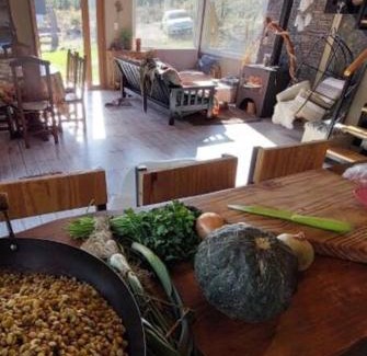 Pilcaniyeu Department Villa | Mi Refugio, casa de campo con toda la energía