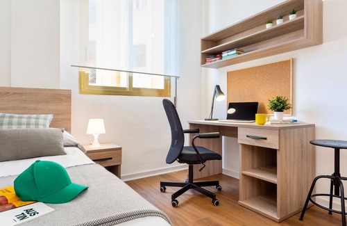 Pedro Salvador - Las Palmeritas Hotel | Micampus Armendáriz - Students Residence