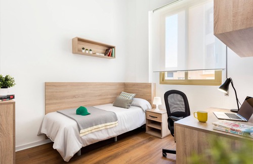 Pedro Salvador - Las Palmeritas Hotel | Micampus Armendáriz - Students Residence