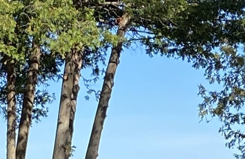 Frankfort House | 'Mich'- Again - LAKEFRONT LUXURY WITH BEACH, KAYAKS, DOCK, AND A/C!