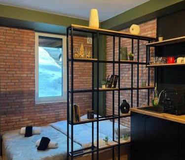 Mavrovo Apartment | Mickitos Apartments - Mavrovo