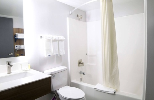 Paw Creek Hotel | Microtel Inn & Suites by Wyndham Charlotte/Northlake