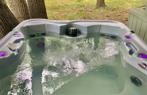 Frederic House | Mid-Century Upper Manistee River Getaway near Grayling