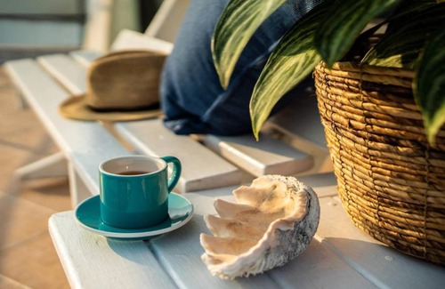 Baisha House | Migrator Intertidal Homestay