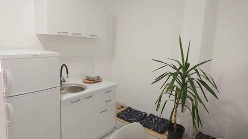 Prilep Apartment | Mile