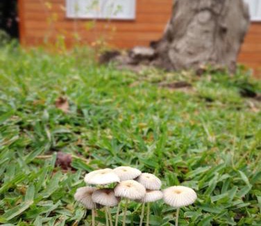 Villa General Belgrano Ski Chalet | Milenka Cabaña