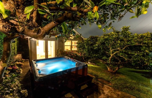 Almonte House | Mill Valley Compound | Bay View, Hot Tub Treehouse
