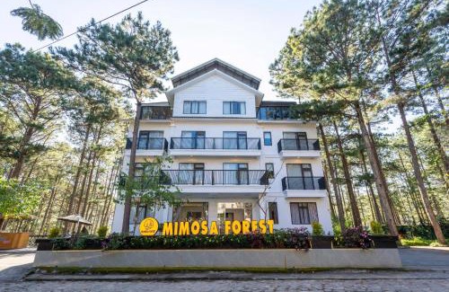 Da Lat Hotel | Mimosa Forest