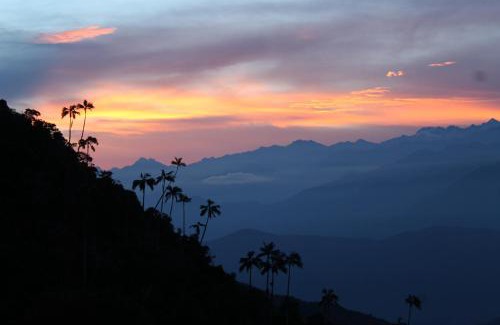 Papare Cabin | Minca El Dorado Reserve