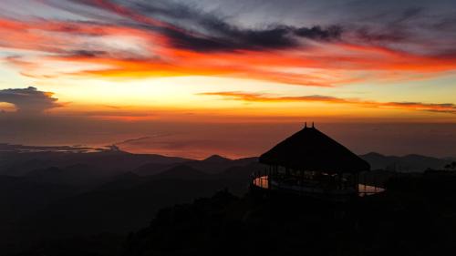 Papare Cabin | Minca El Dorado Reserve