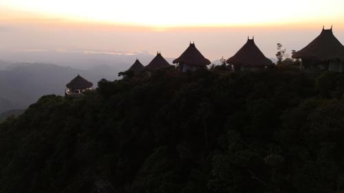 Papare Cabin | Minca El Dorado Reserve