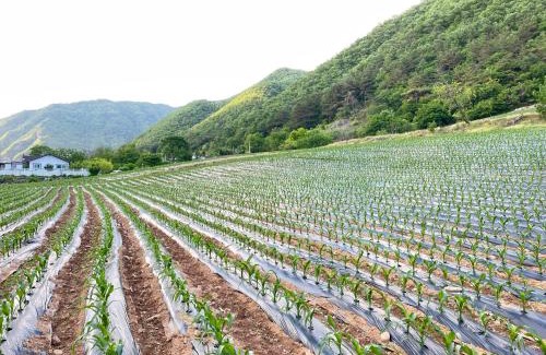 Jeongseon House | mindfulstay