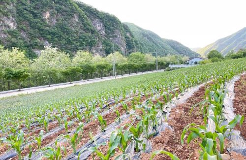 Jeongseon House | mindfulstay