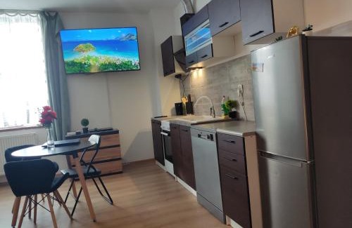 Głuchołazy Apartment | Mini Apartament Studio