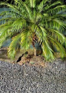 Goyave Villa | Mini-villa entre montagne et mer