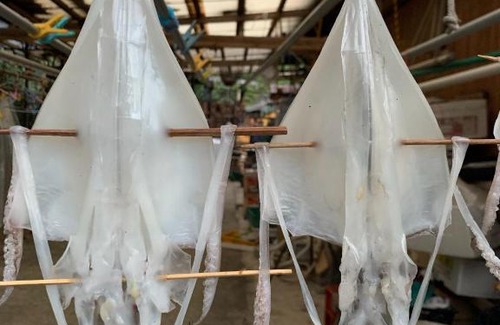 Tsushima House | Minshuku Urahama - Vacation STAY 26649v